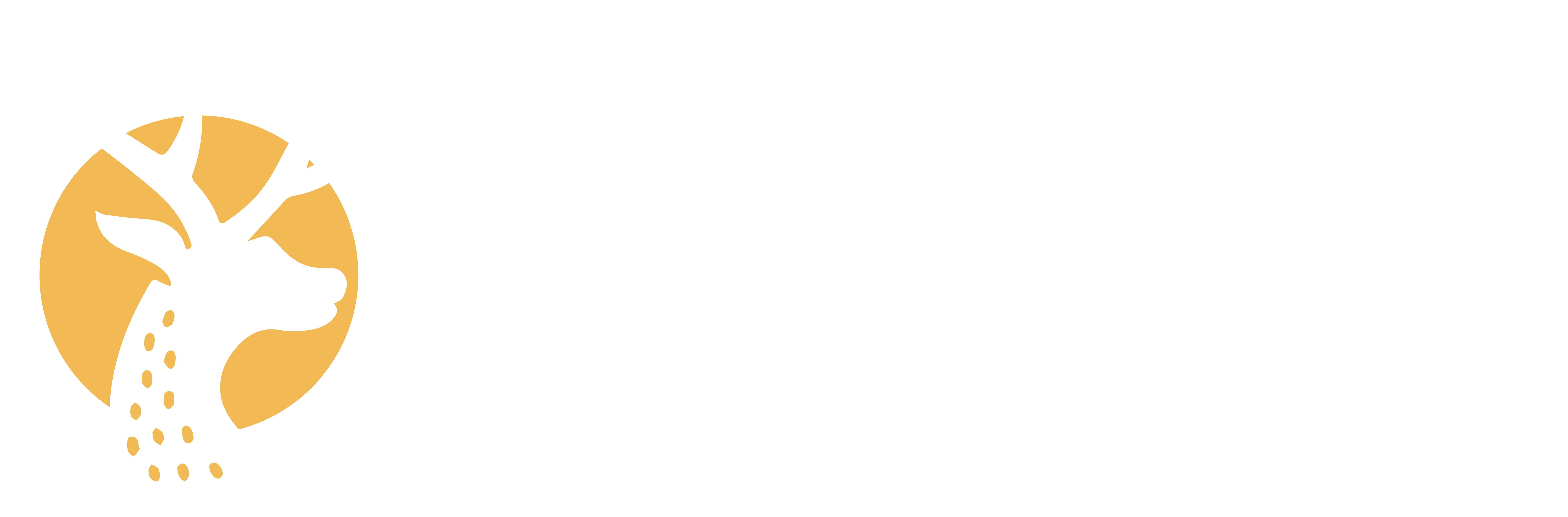 Katanga Adventures