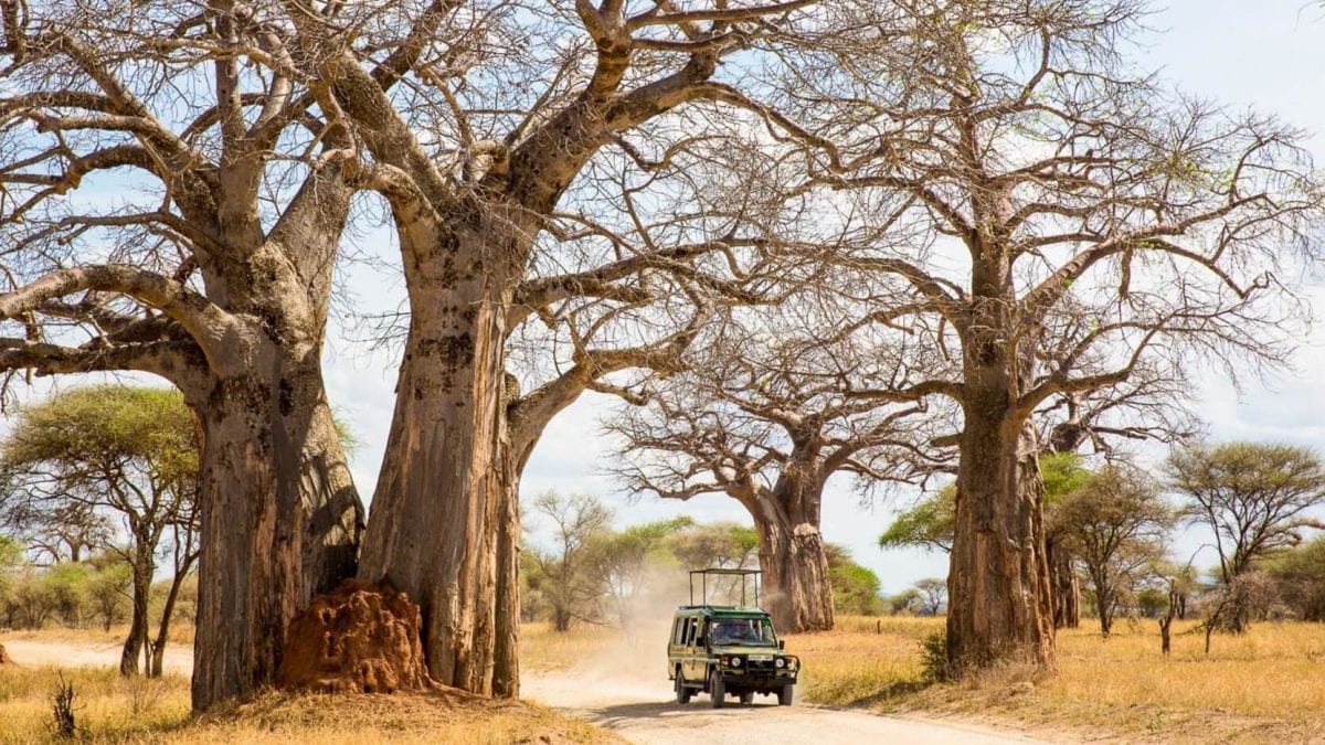 Lake Manyara