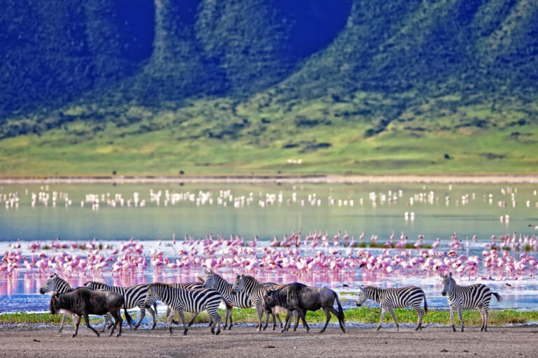 Ngorongoro Crater